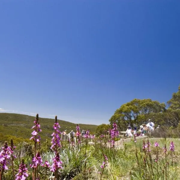 Snow Gum Apartment 2, hotel i Erica