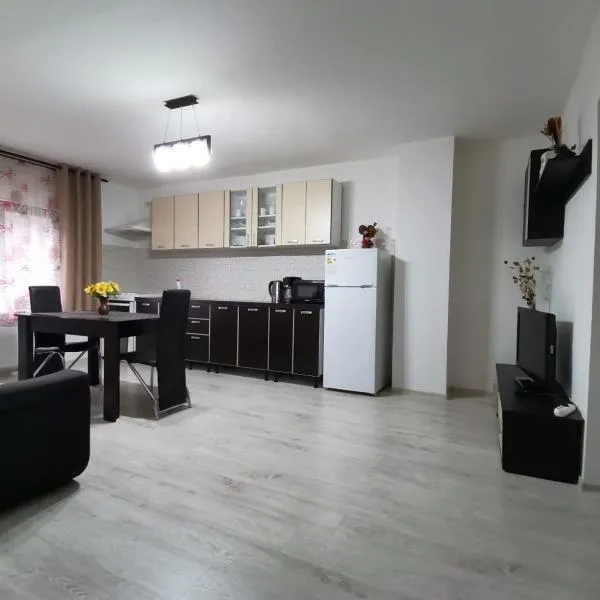 Mario Apartament regim hotelier, отель в городе Вэльюг