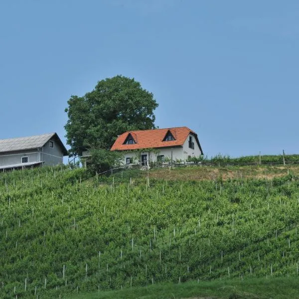 Vineyard Cottage Zdolsek, hotel v destinaci Zreče