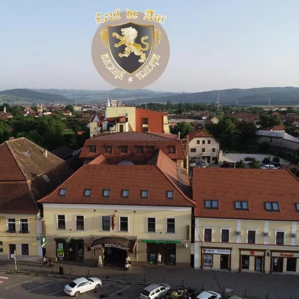 Hotel Leul de Aur – hotel w mieście Sebeş