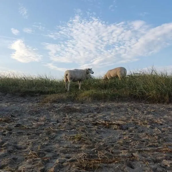 Erholung auf der Deichschäferei mit Deichblick, готель у місті Нойгарлінгерзіль