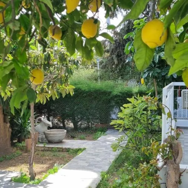 Elpida Lemon Garden House, Hotel in Erimi