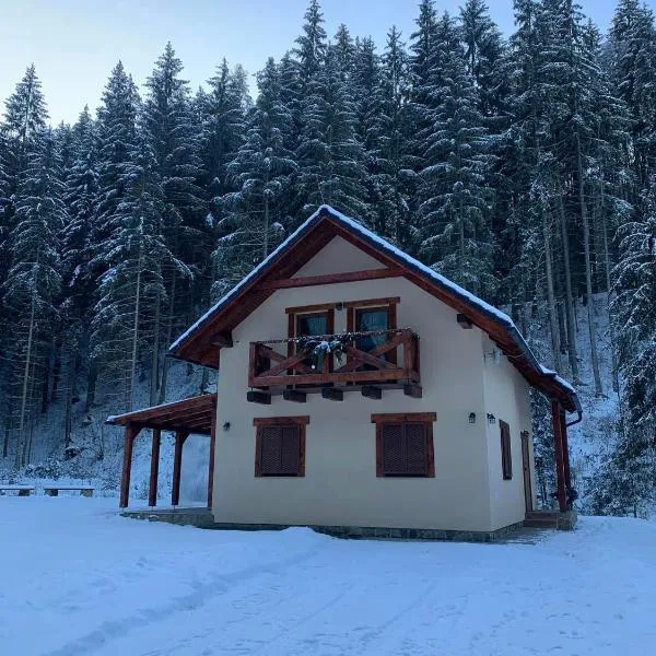 Chata Mošnica, hotel u gradu Lazisko