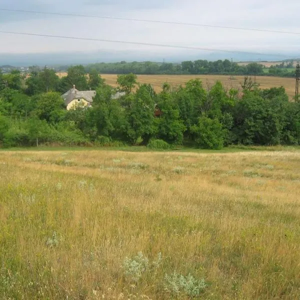 Vincellér Vendégház, hotel din Balatonakarattya