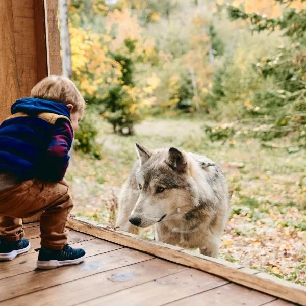 LʼOrignal에 위치한 호텔 Parc Omega