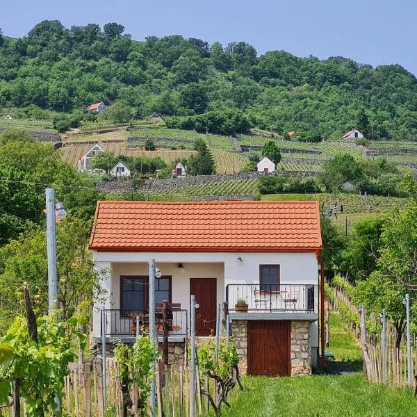 Jera Pince és Vendégház, hotel a Ajka