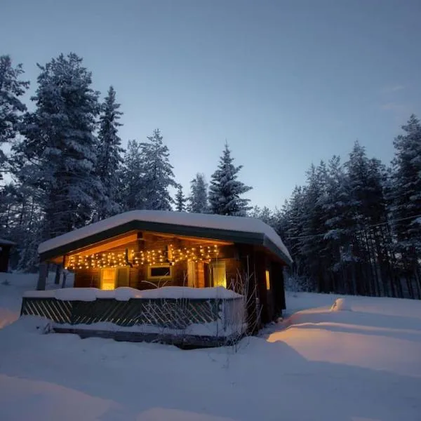 Log Cabin, forrest , sea view, north Sweden., готель у місті Nystrand