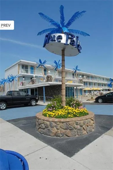 Blue Palms Resort, отель в городе Вайлдвуд