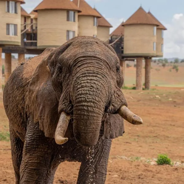 Salt Lick Safari Lodge, hotel u gradu Tsavo