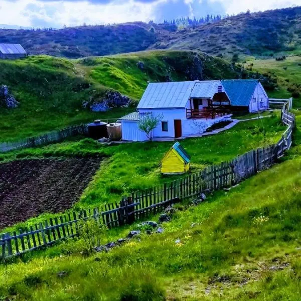 Weekend house in the Piva nature park、Kružacのホテル