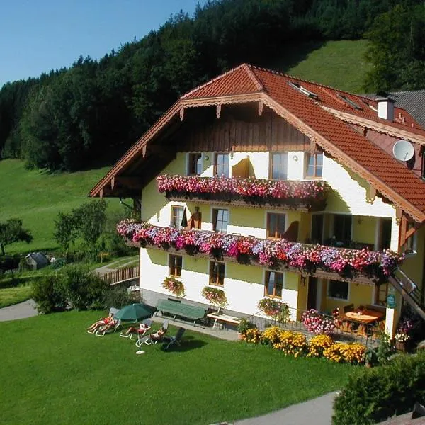 Gesundheitshof Lohninger, hotel v Mondsee