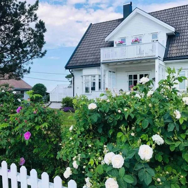 Lenes hus, hotell i Halden