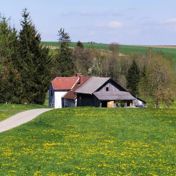 Landhaus auf der Alm, מלון בספיץ