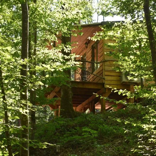 La cabane aux écureuils, hotel di Chimay