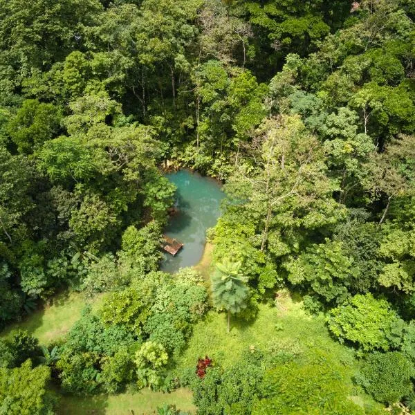 Santuario de Ranas - Explora nuestro paraíso natural, hotel en Chachagua