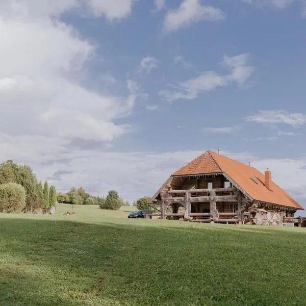 Viesu nams “Kalna Raskumi”，Ērgļi的飯店