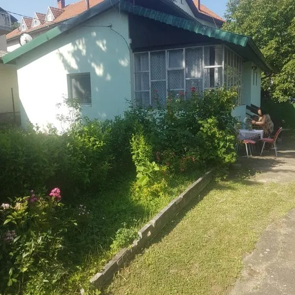 VILA MILA SOKOBANJA, hotel din Soko Banja