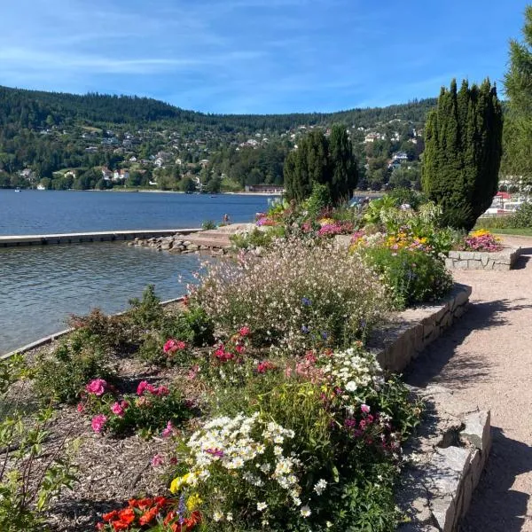 Charmant chalet, spacieux, proche du lac, vue sur la montagne، فندق في جوراردُميه