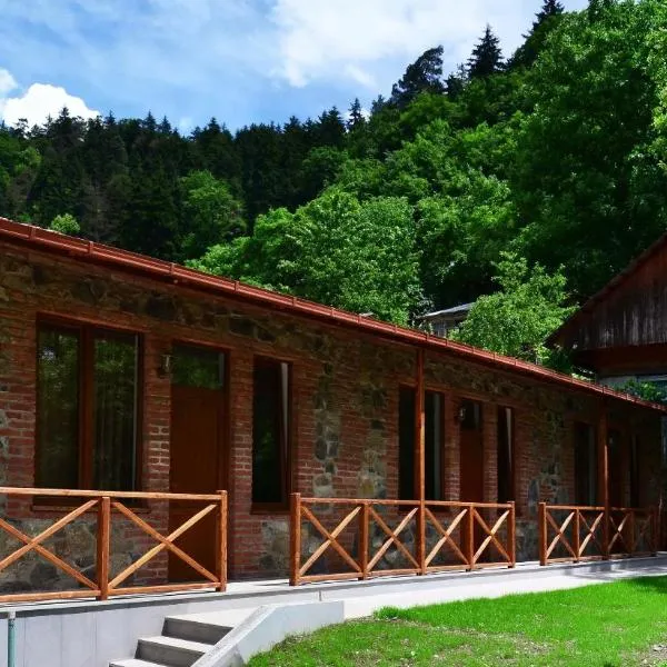 Borjomi Cottages, hotel em Surami