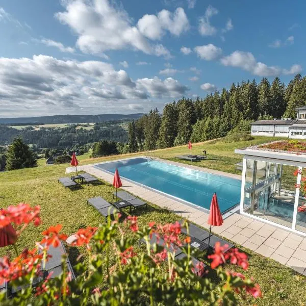 Hotel Saigerhöh, Hotel in Hinterzarten