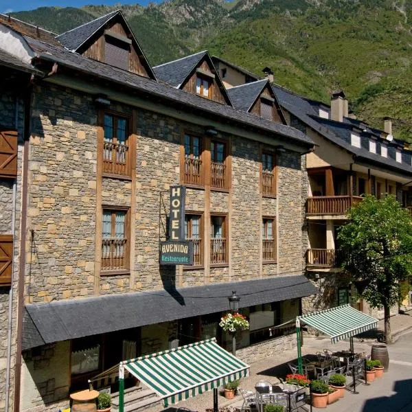 Hotel Avenida Benasque, viešbutis mieste Benasque