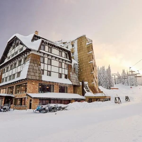 Grey Family Hotel, отель в Копаонике