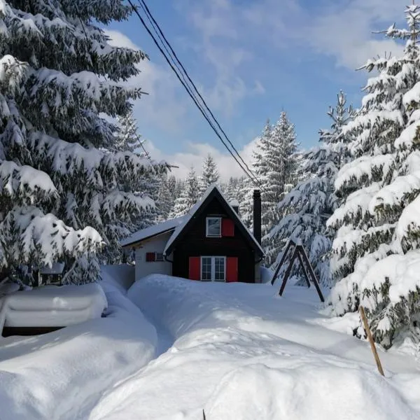 Snowhite Jahorina, hotel u Paleu