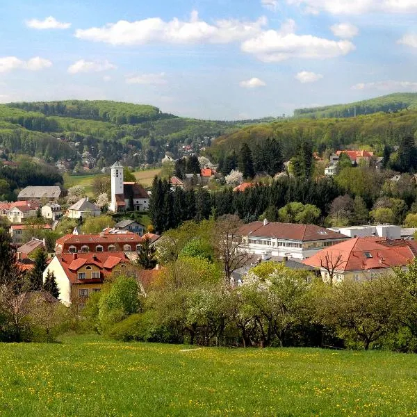 Hotel Rosner, hotell sihtkohas Neulengbach