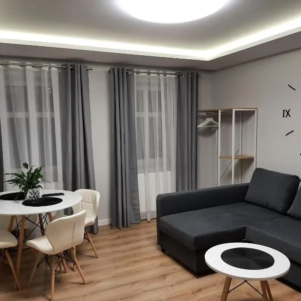 Central Platinum Apartments 14, hotelli kohteessa Rybnik