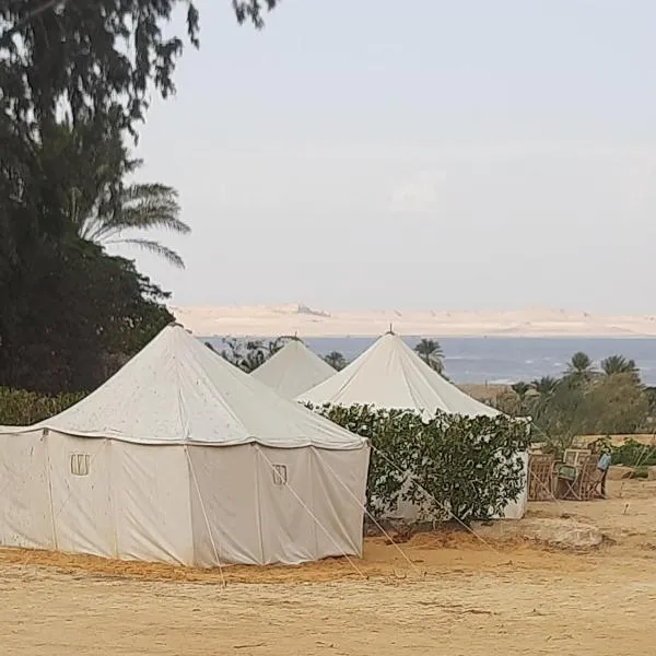 Tunis Camp Fayoum, hotel ‘Izbat Būrīsh al Gharbīyāh városában