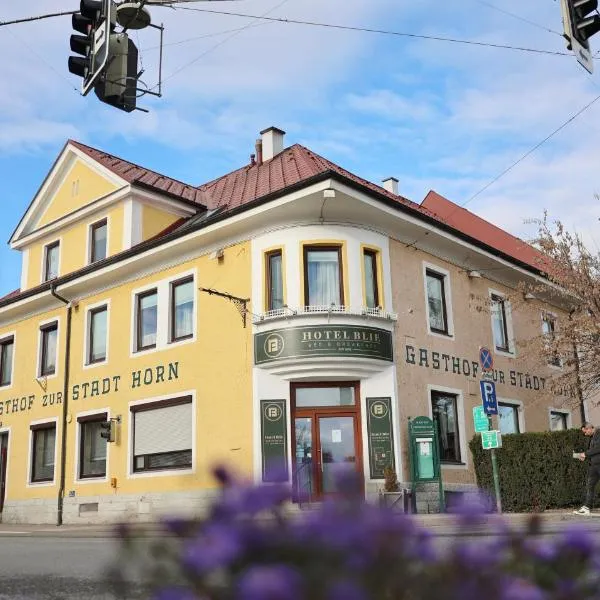 Hotel Blie, Bed & Breakfast, Self Check-in, hotel u gradu Horn