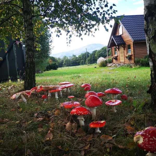 Domek na Kamieńcu, hotell sihtkohas Żywiec