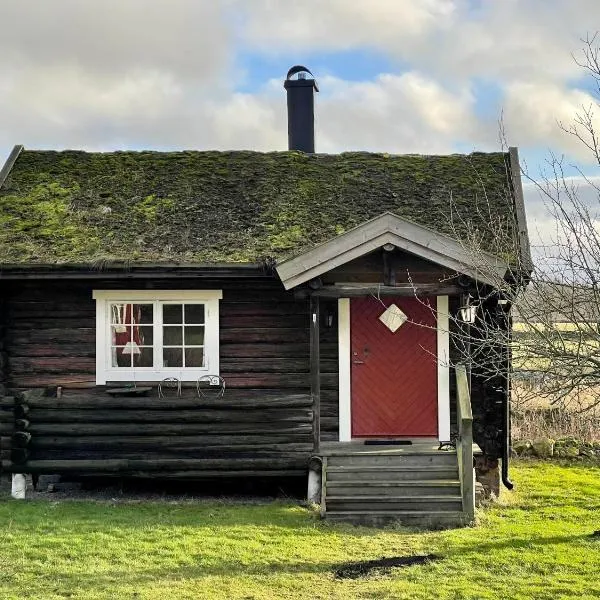 Backgårdens Timmerstuga, хотел в Скара