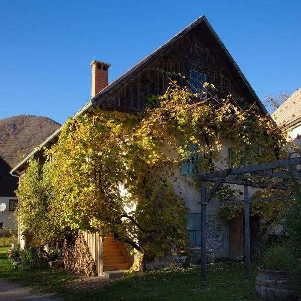 Vintage House Podliparska, hotel din Osilnica