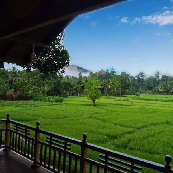 Rainforest Nest, hotel en Mederipitiya