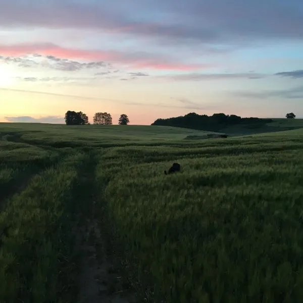 Broockhof Ferienwohnung unterm Sternenhimmel in Mecklenburg，Reimershagen的飯店