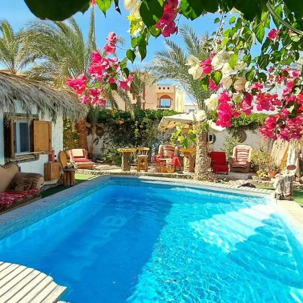 Surfers-Lounge-Dahab Lagoon with Swimming-Pool - Breakfast - Garden - Beduintent - BBQ - Jacuzzi, hotell i Dahab