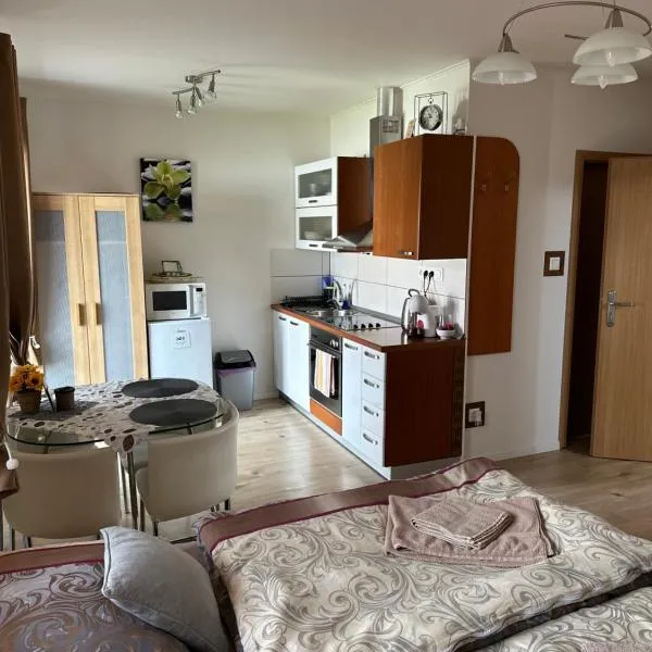 Apartmán LOSONCI Nesvady- pre 2 osoby štúdio, hotel i Nesvady