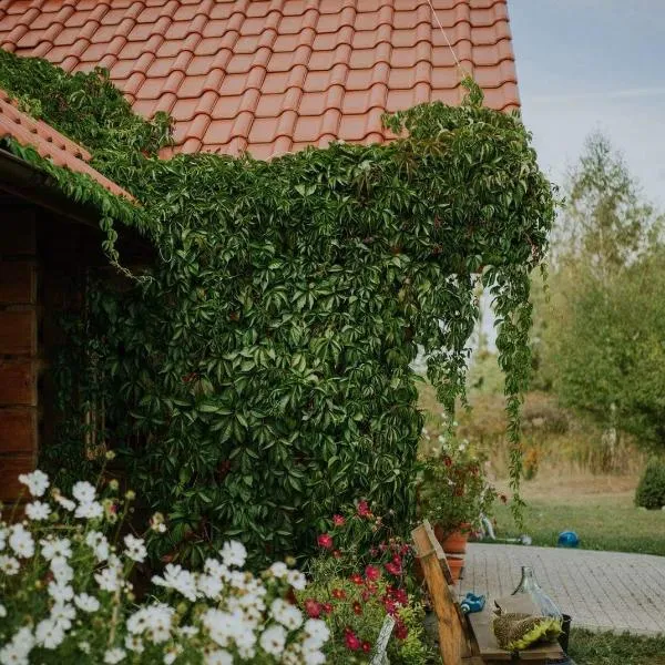 Dom Gościnny Sowia Stópka, hotel v destinaci Iława