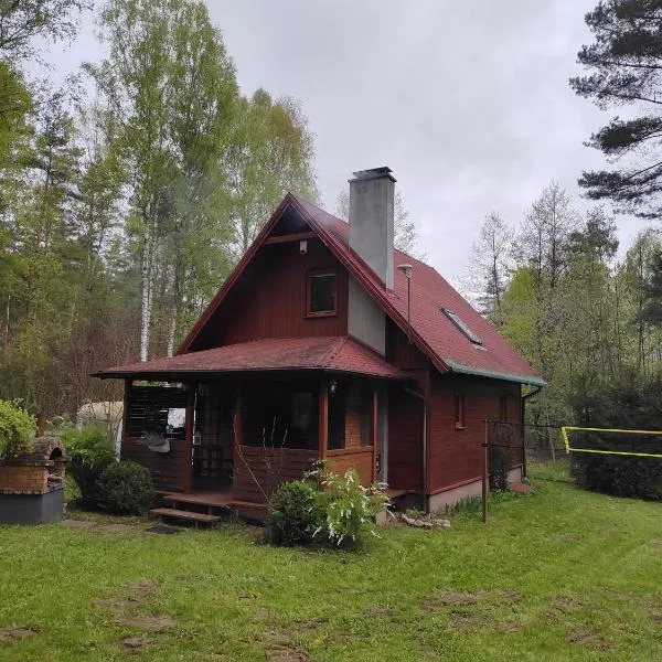 Klimatyczny domek w lesie przy jeziorze, hotel sa Ostróda