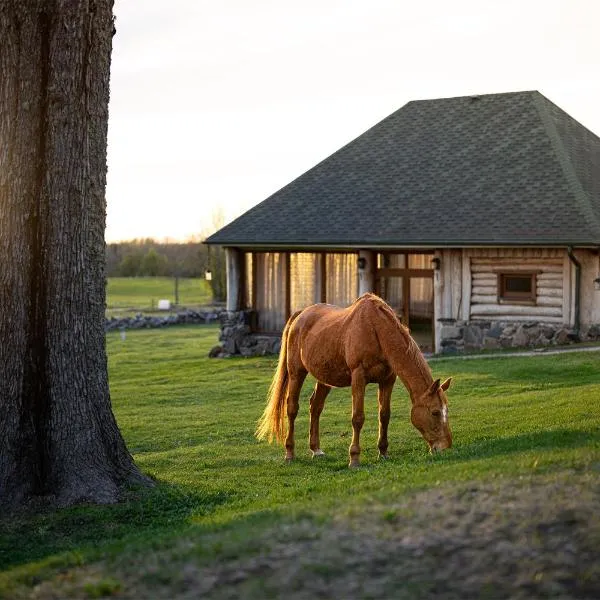 Metsapiiga Puhkemaja, hotel i Jõgeva