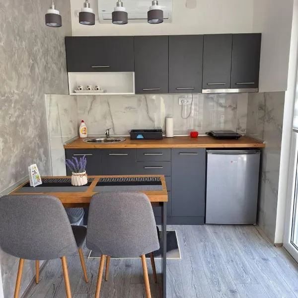 Apartmani Đorđević 2, hotel en Golubac