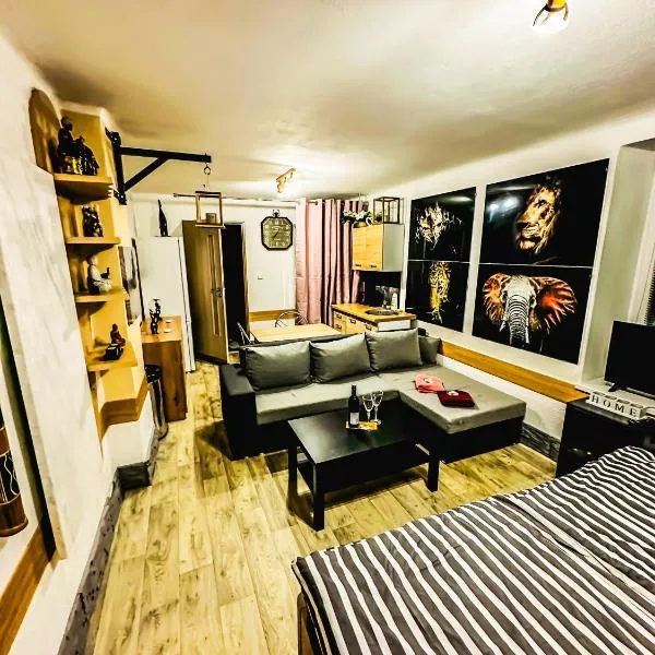 Apartmán Pod hradem, hôtel à Domažlice