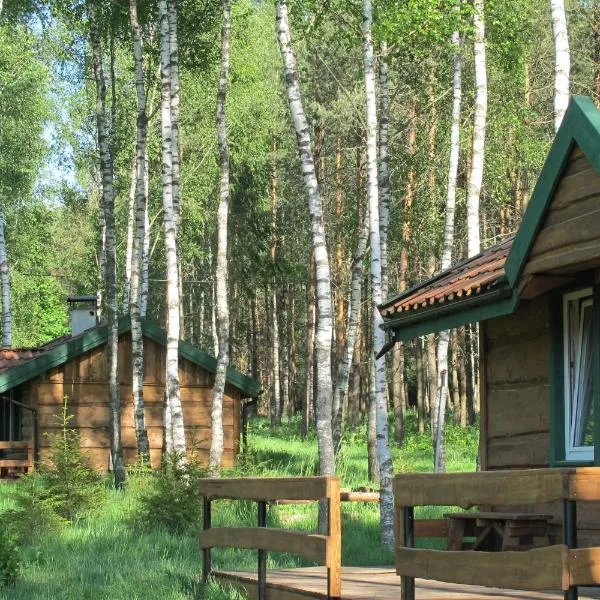 domki na leśnej polanie, hotel di Lidzbark Warminski