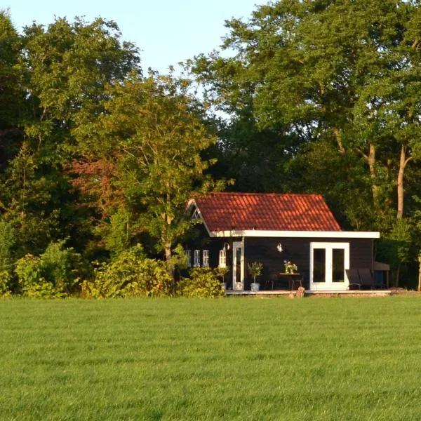 PRIVÉ IN EEN BOSRIJKE OMGEVING Welkom bij gastenverblijf het ontsnapte schaap in Jubbega, hôtel à Oosterwolde