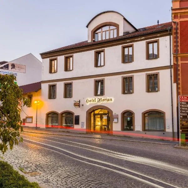 hotel Florian Sedlčany, hotel in Kňovičky