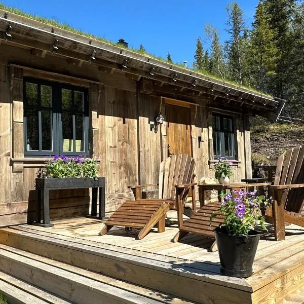 Liaplassen Mountain Chalet - Beitostølen, hotel in Beitostøl