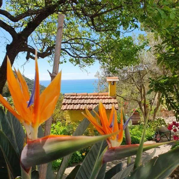 Agriturismo Costa di Campo, hotel em Vernazza