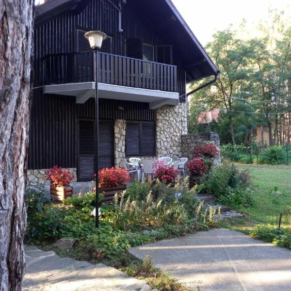 Radicini konaci, Hotel in Golubac