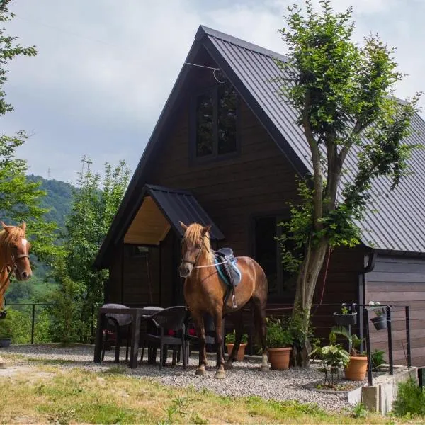 Cottage KOLKHA, khách sạn ở Kvariati